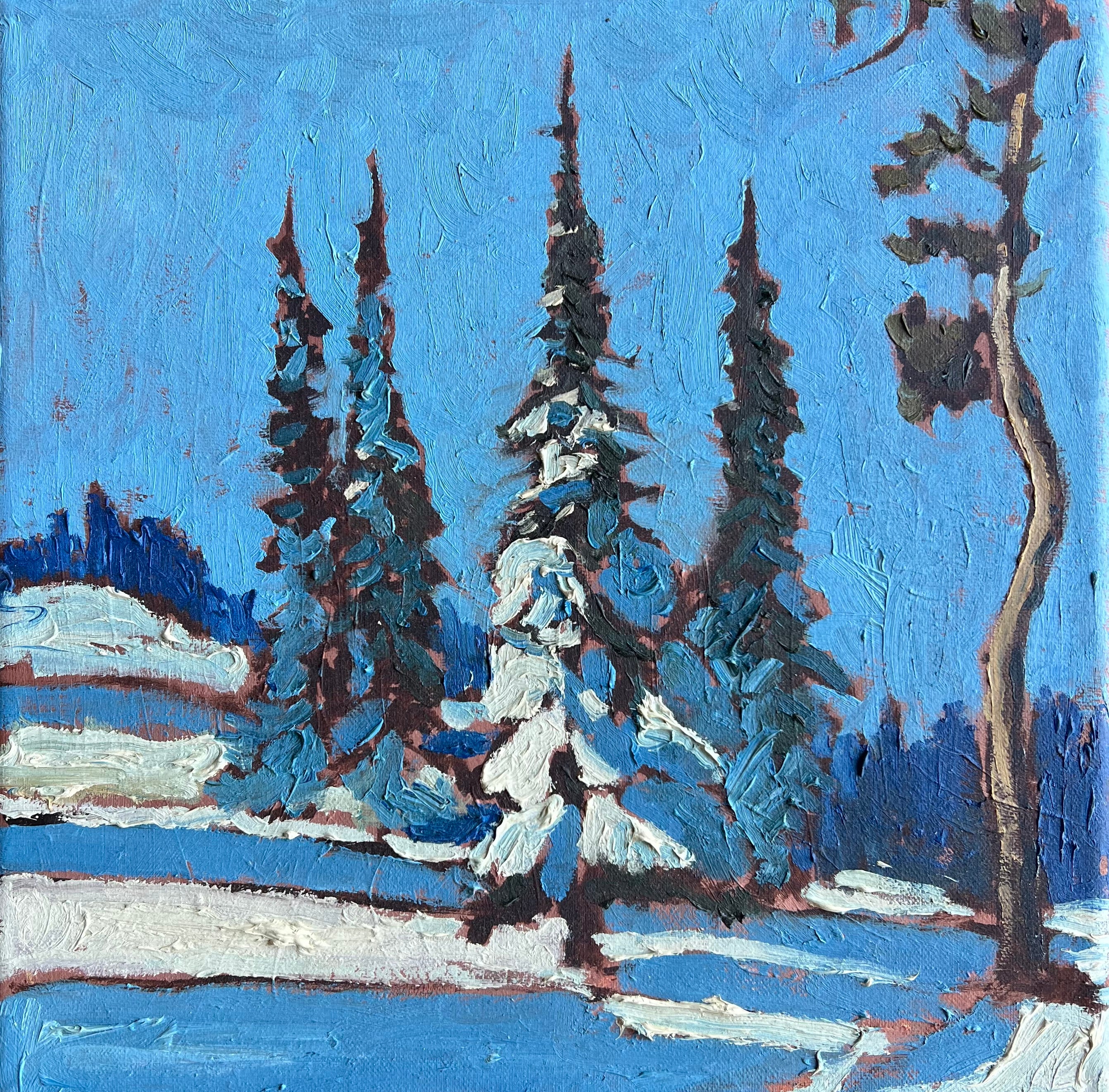 Crooked Tree and Snow — Study