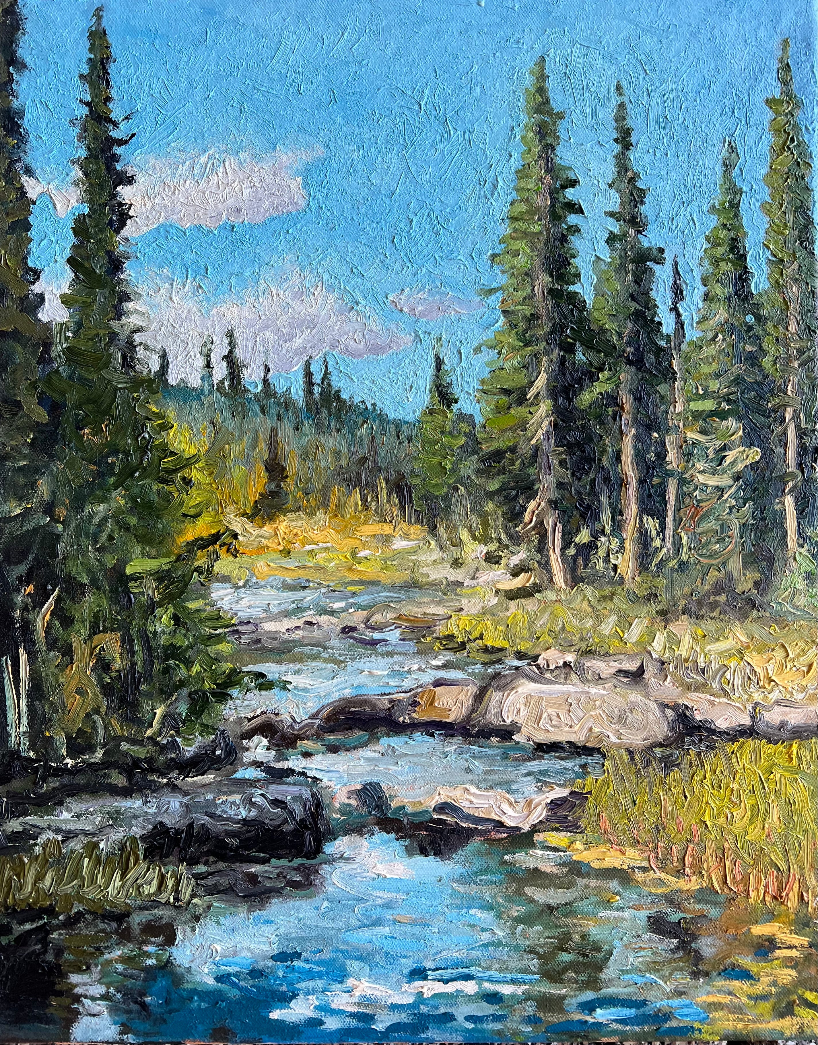 Rocky Mountain Creek