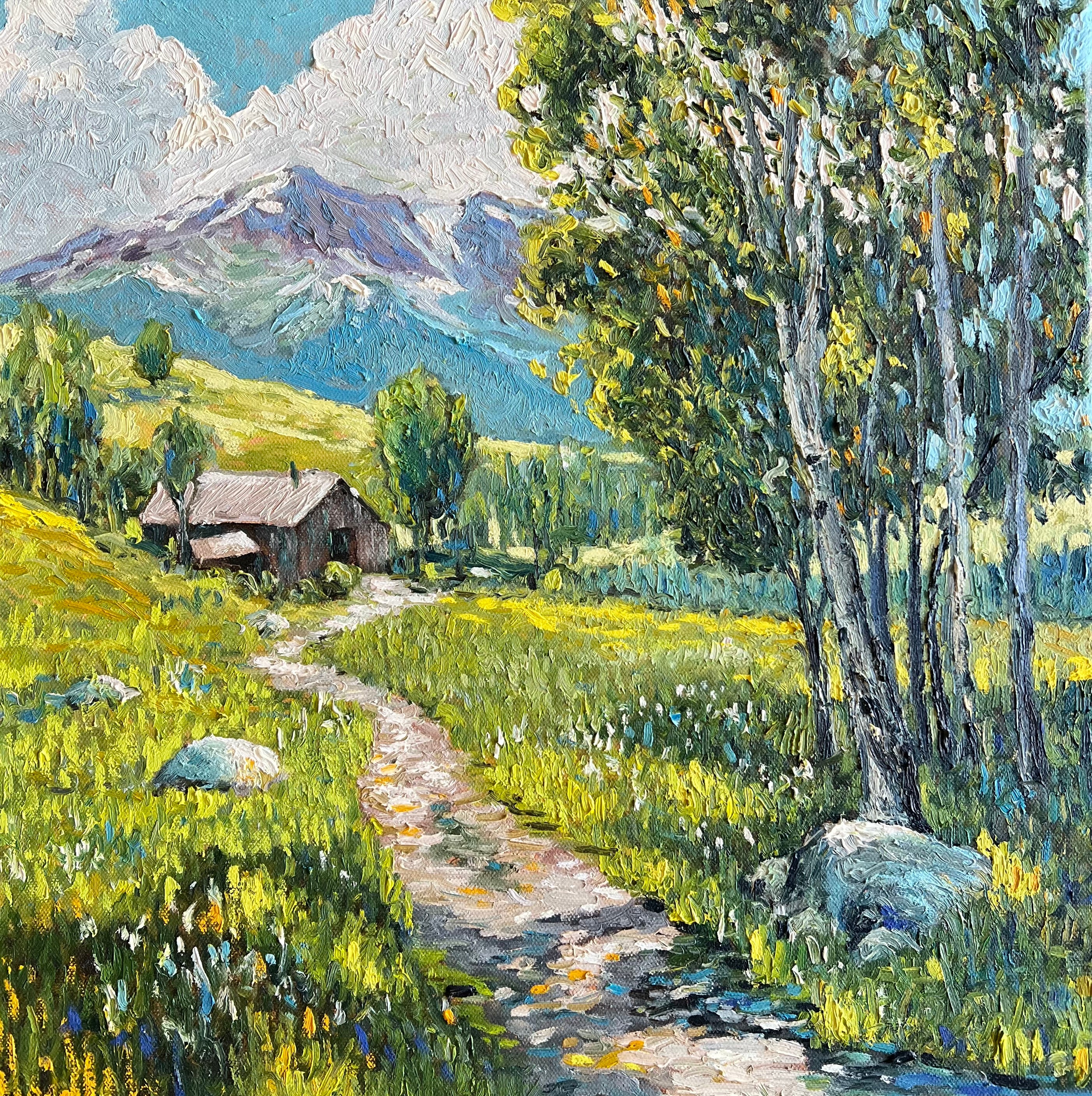 Mountain Meadow with Cabin
