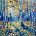 Aspen Grove in Autumn