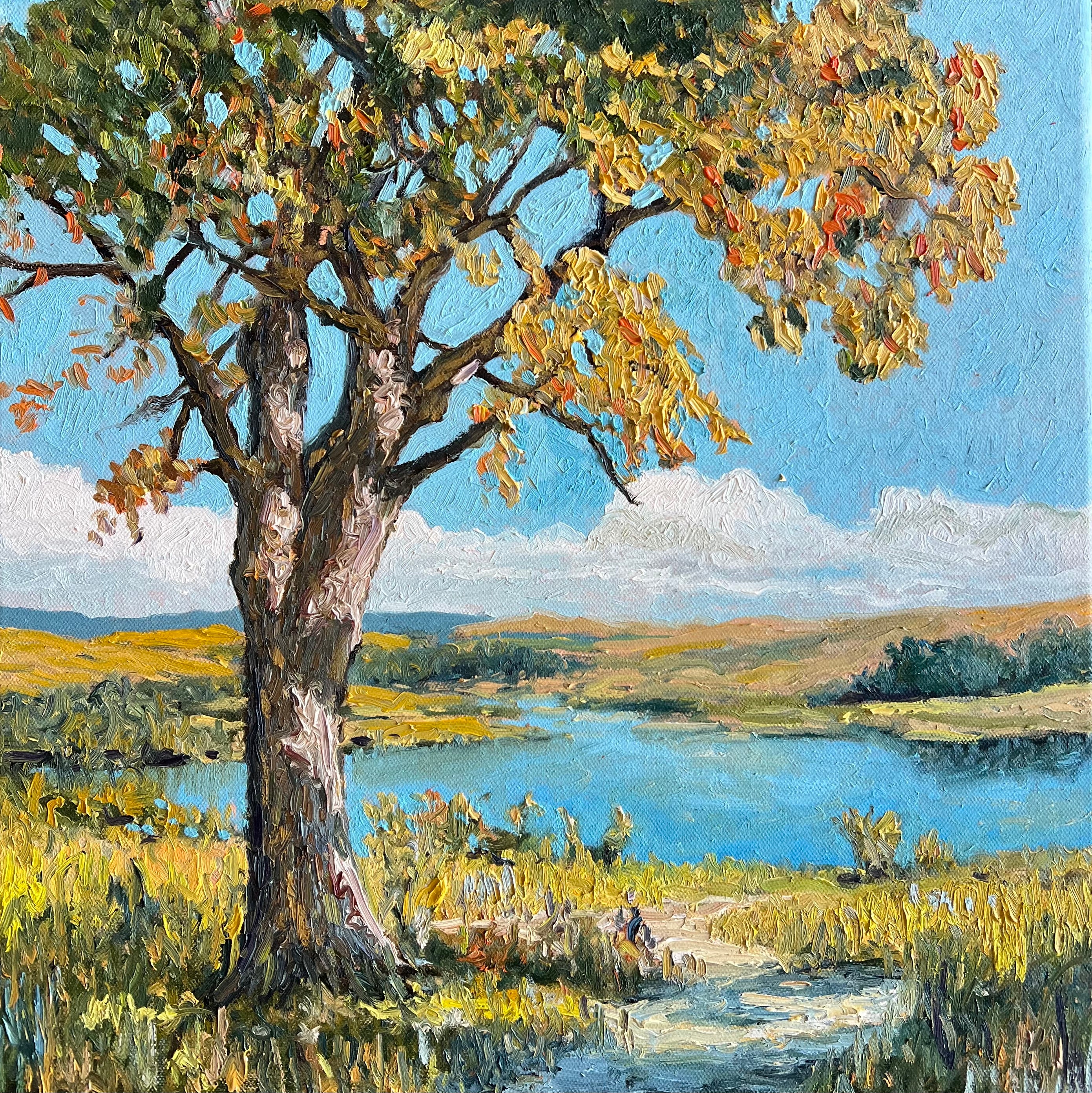 Cottonwood by the River Bend