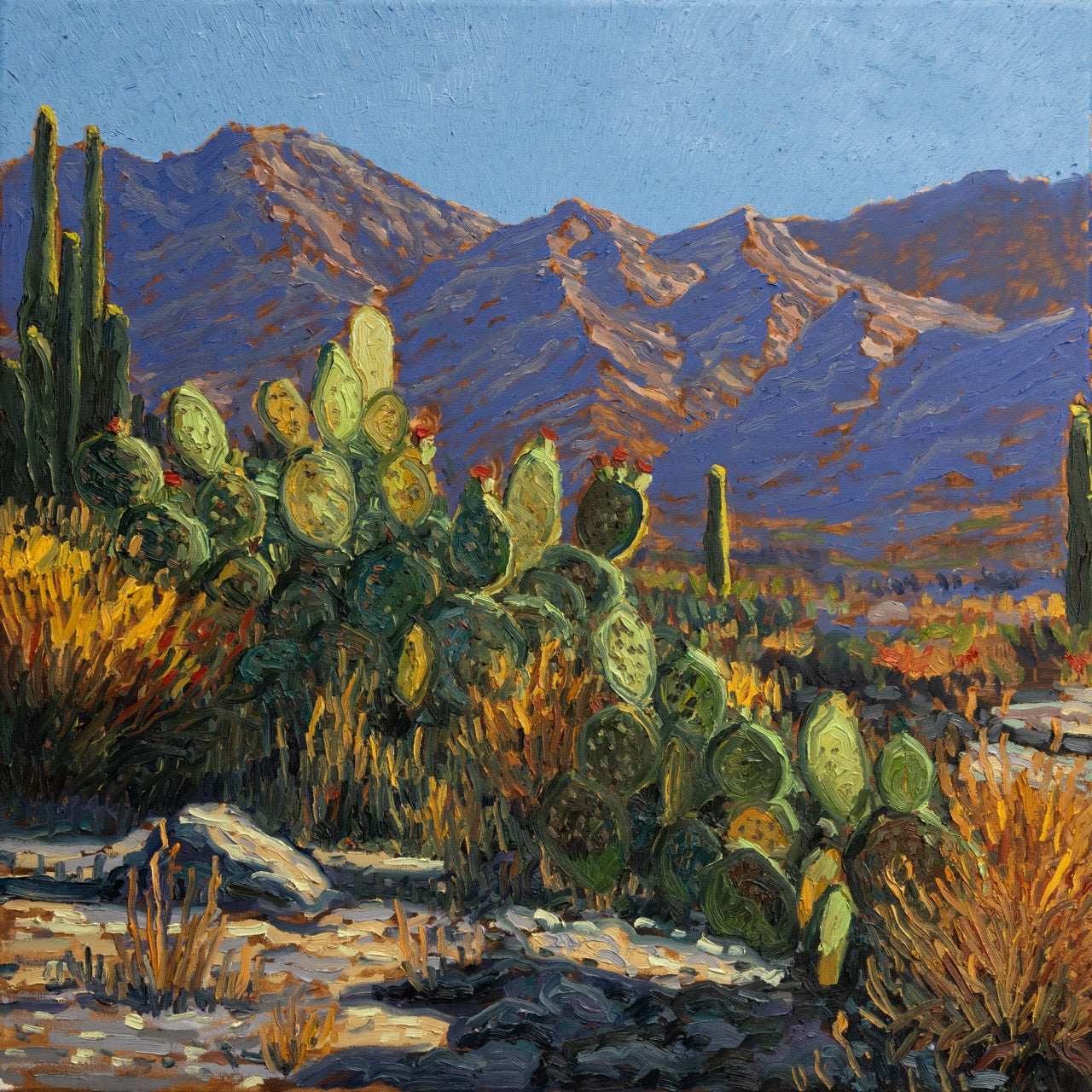 My Desert Family