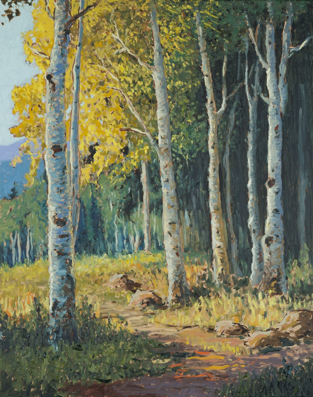 Crooked Tree and Snow