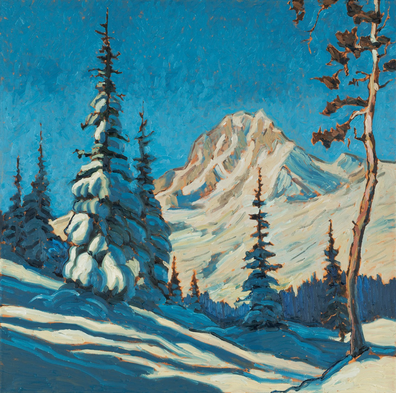 Crooked Tree and Snow