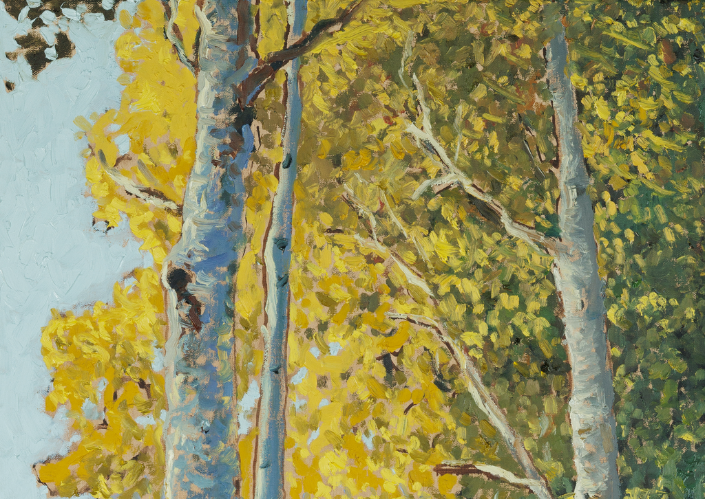 Aspens & Path