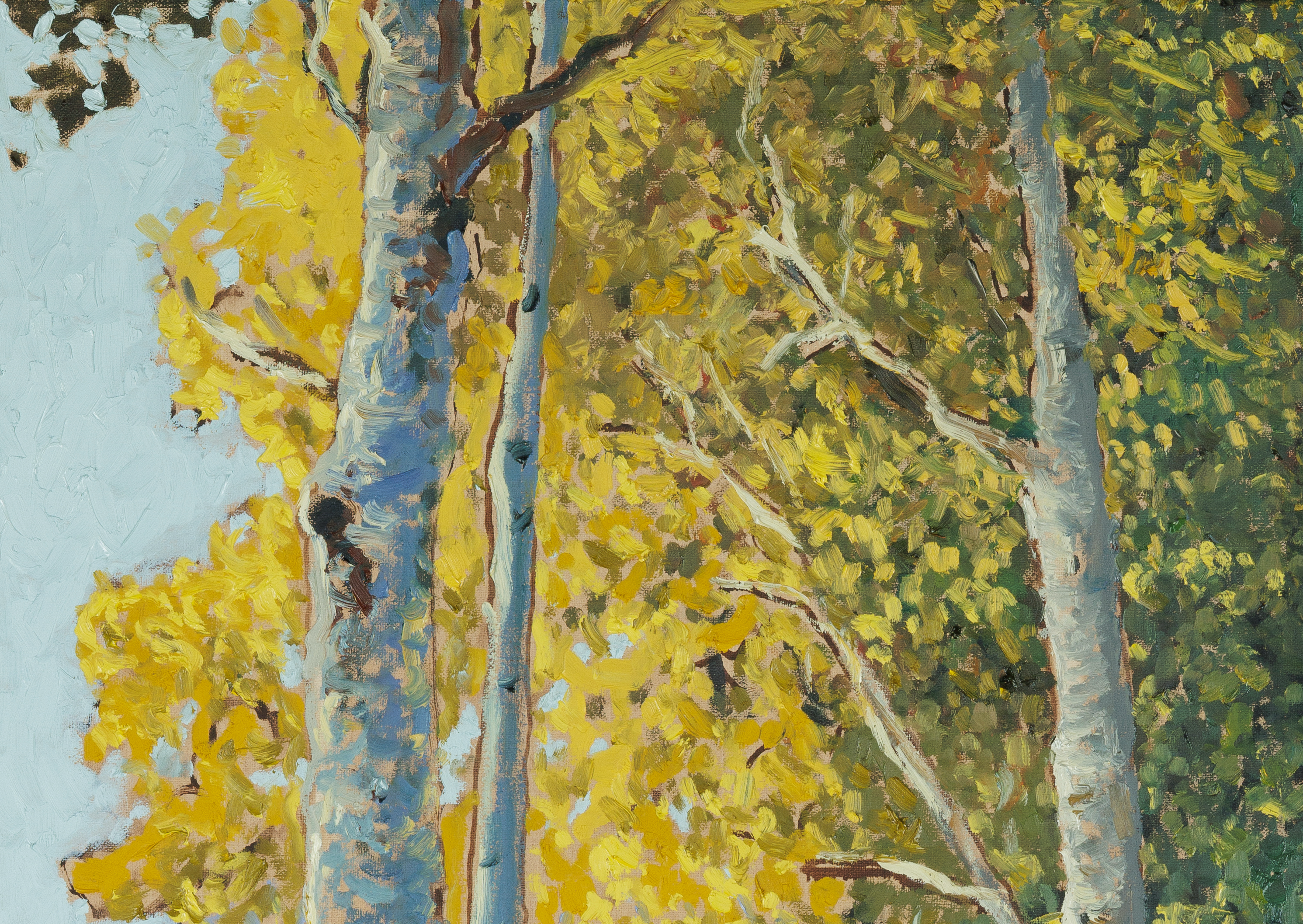 Aspens & Path